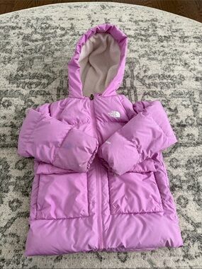 The North Face Lilac/Pink Puffy Hooded Jacket